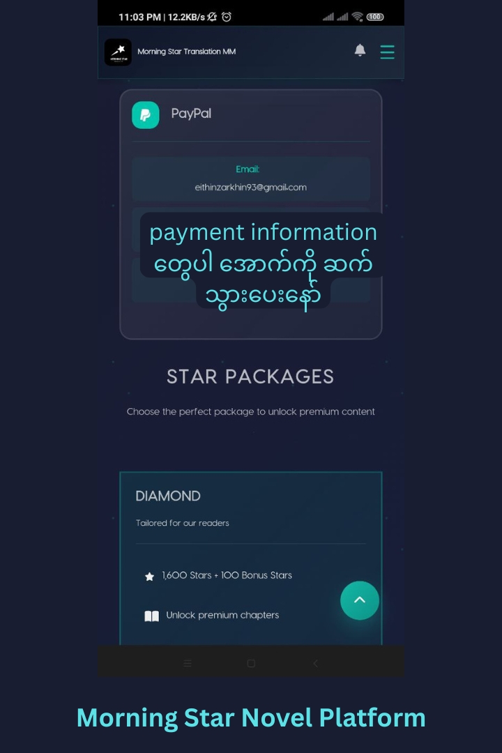 payment information